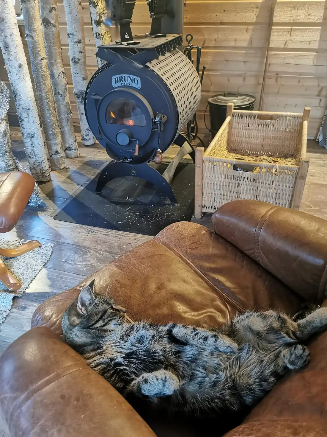 Chat assoupi sur un canapé en cuir devant le poêle à bois, ambiance chaleureuse du chalet