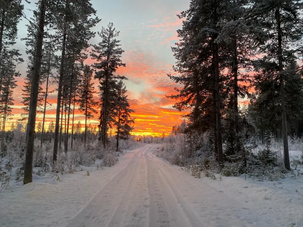 Chemin enneigé bordé de sapins givrés sous un ciel de coucher de soleil orange