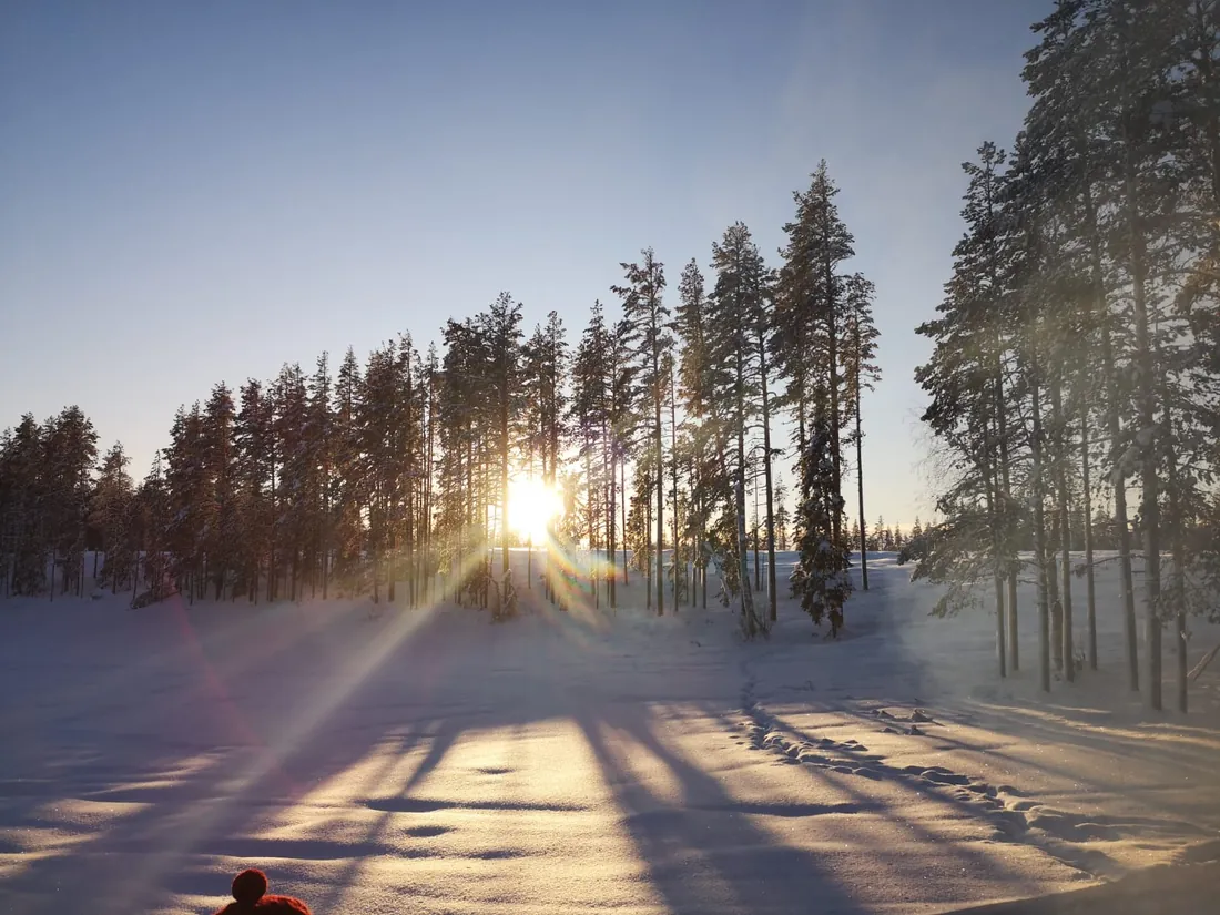 Soleil bas filtrant entre des sapins enneigés, longues ombres sur la neige immaculée