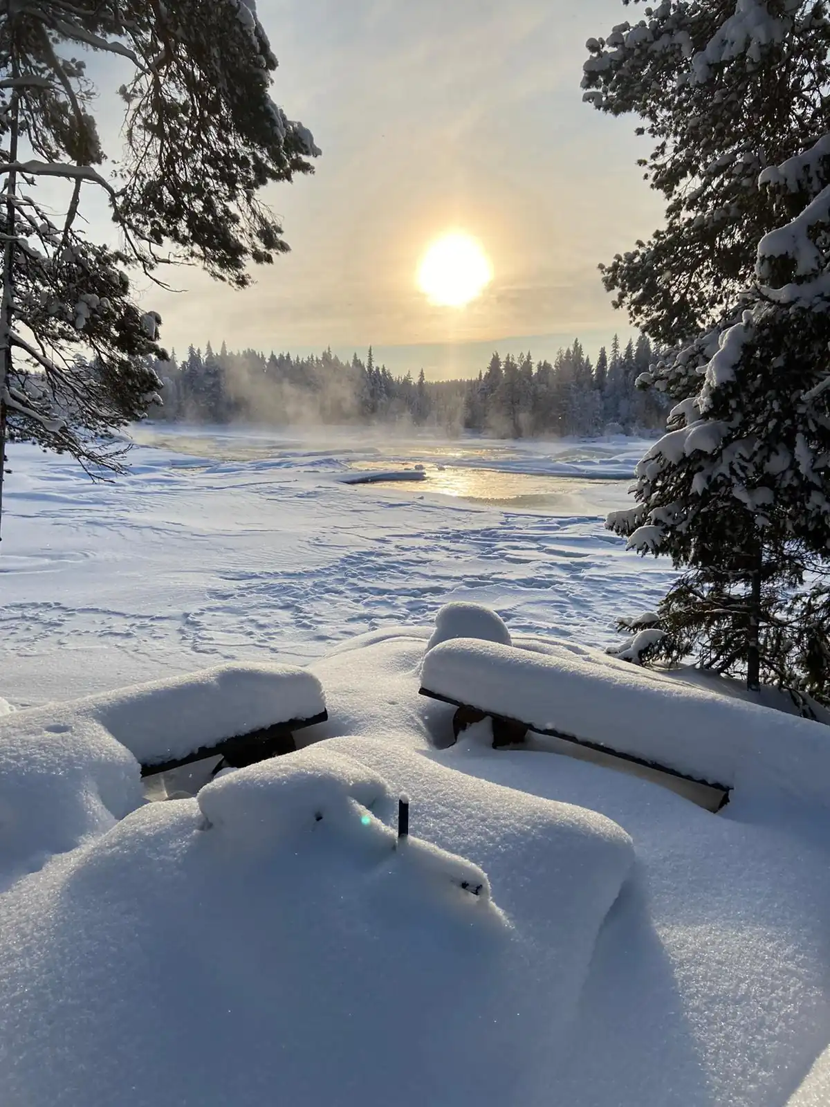 Soleil hivernal sur une rivière fumante bordée de sapins enneigés en Laponie suédoise