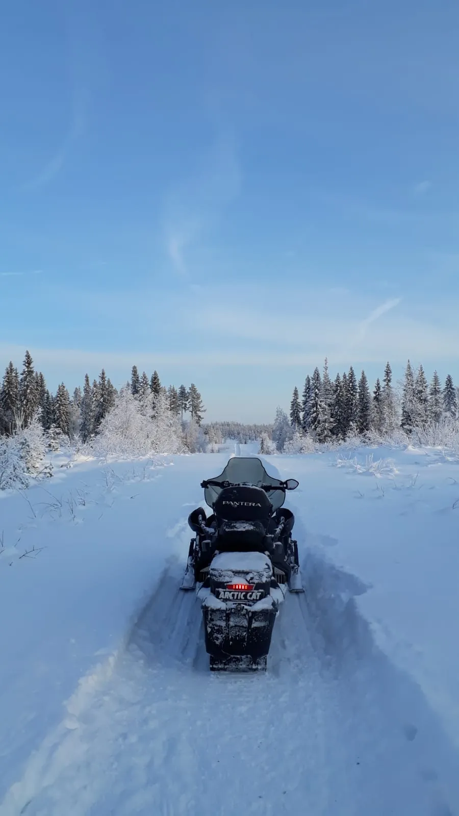 Motoneige Arctic Cat sur une piste enneigée bordée de sapins givrés sous un ciel bleu